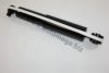 AUTOMEGA 3056210032088R Shock Absorber